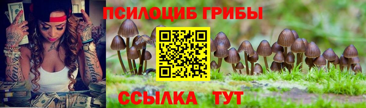 Галлюциногенные грибы Cubensis Киреевск